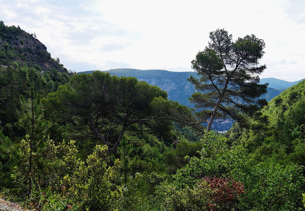 Rénovation intérieure Alpes-Maritimes