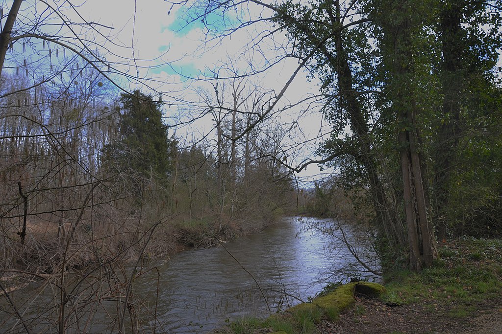 Rénovation intérieure Corrèze