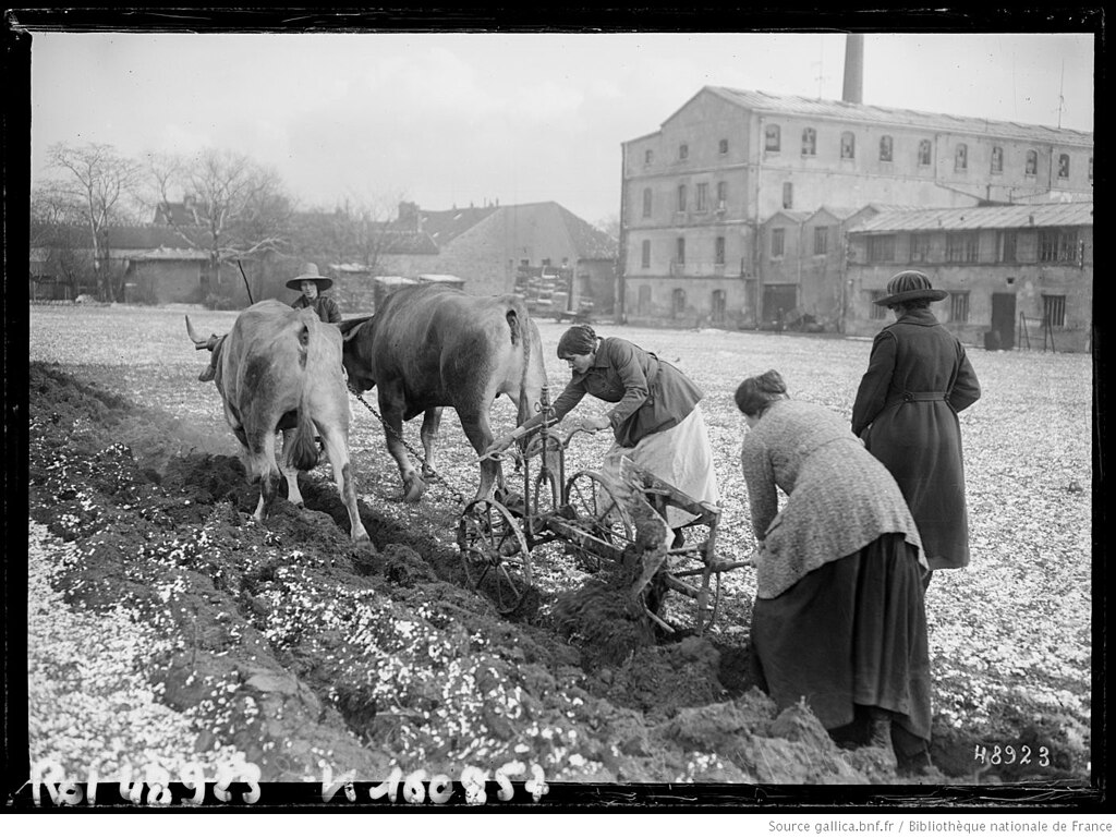 Rénovation intérieure Val-de-Marne