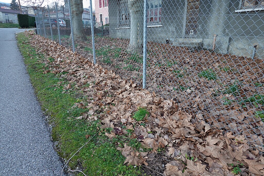 Rénovation intérieure Bellegarde-sur-Valserine