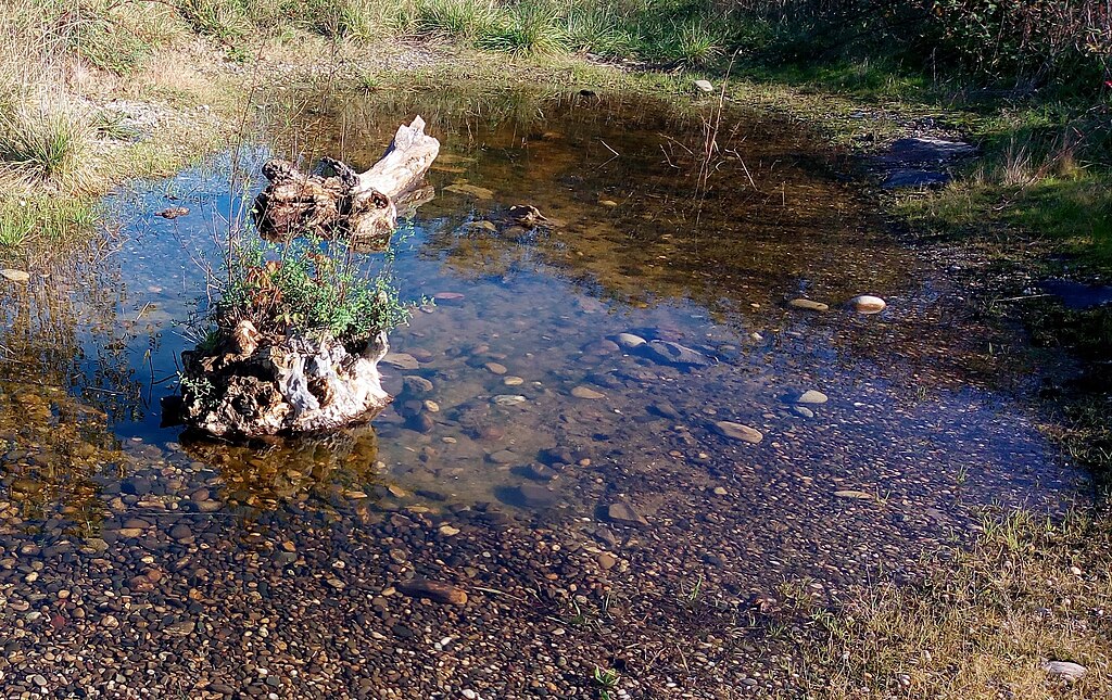 Rénovation intérieure Wittenheim