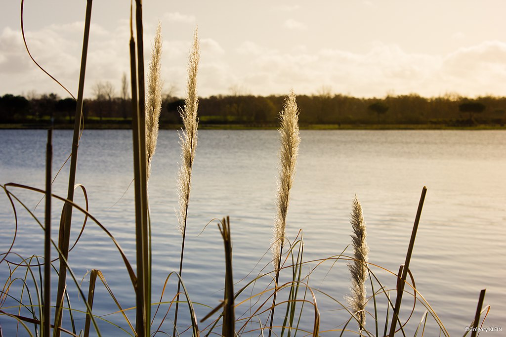 Rénovation intérieure Tournefeuille