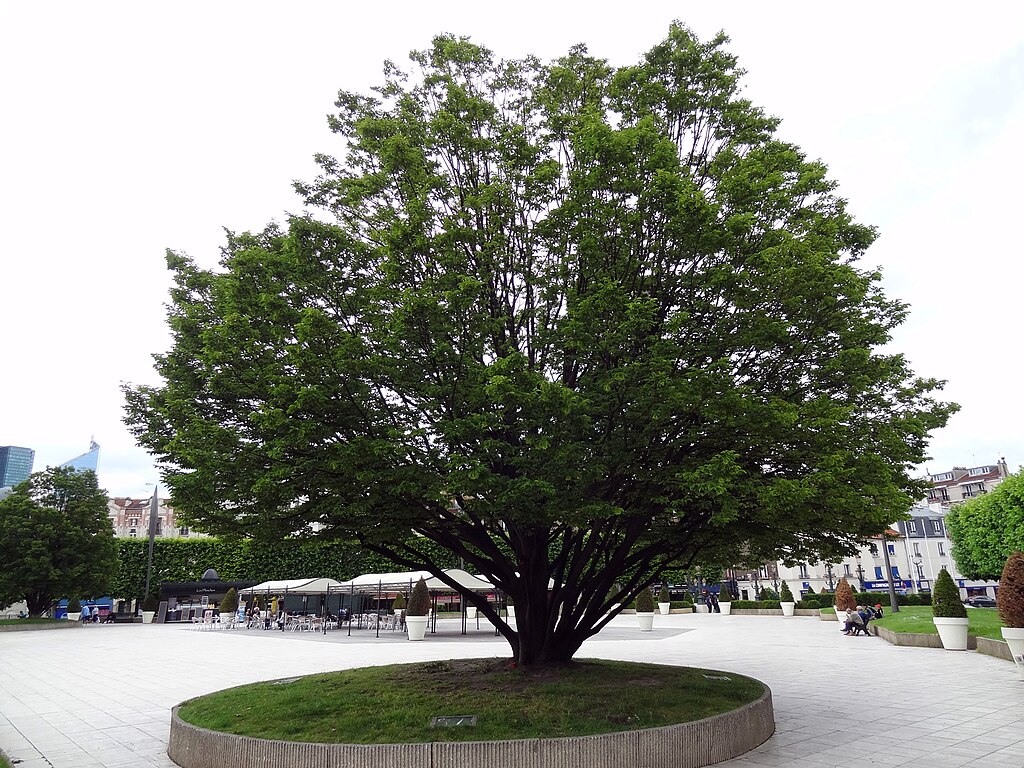 Rénovation intérieure Puteaux