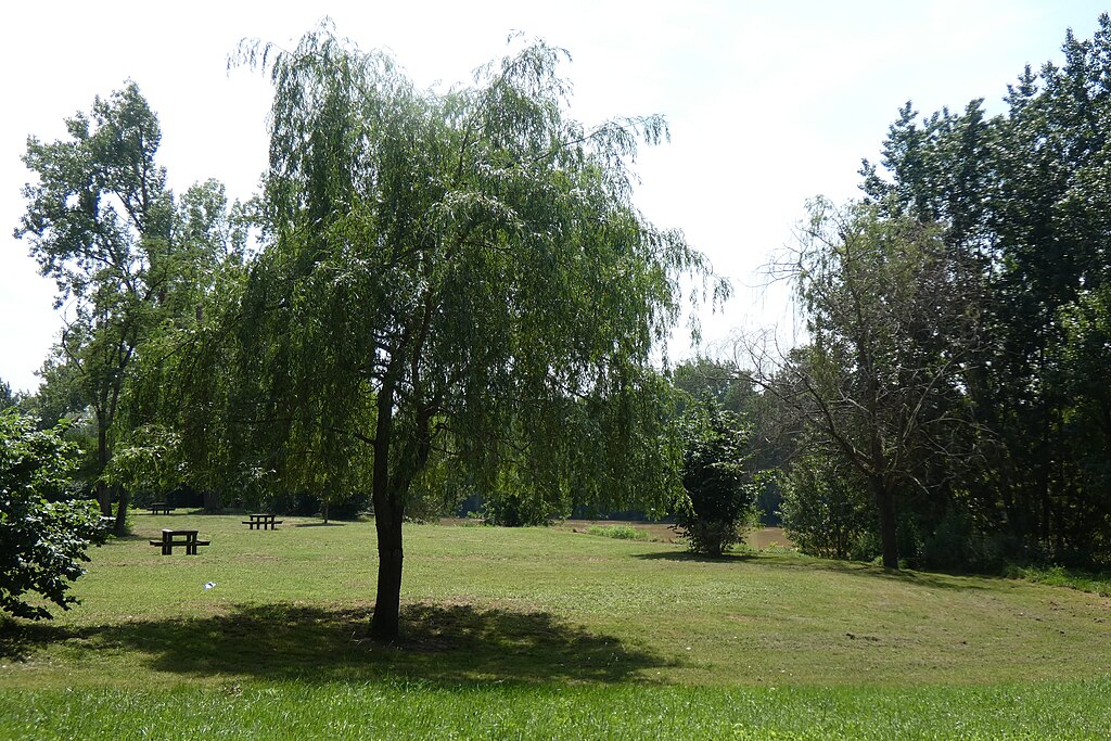 Rénovation intérieure Marmande