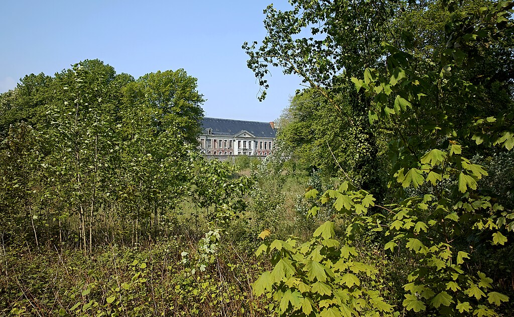 Rénovation intérieure Loos